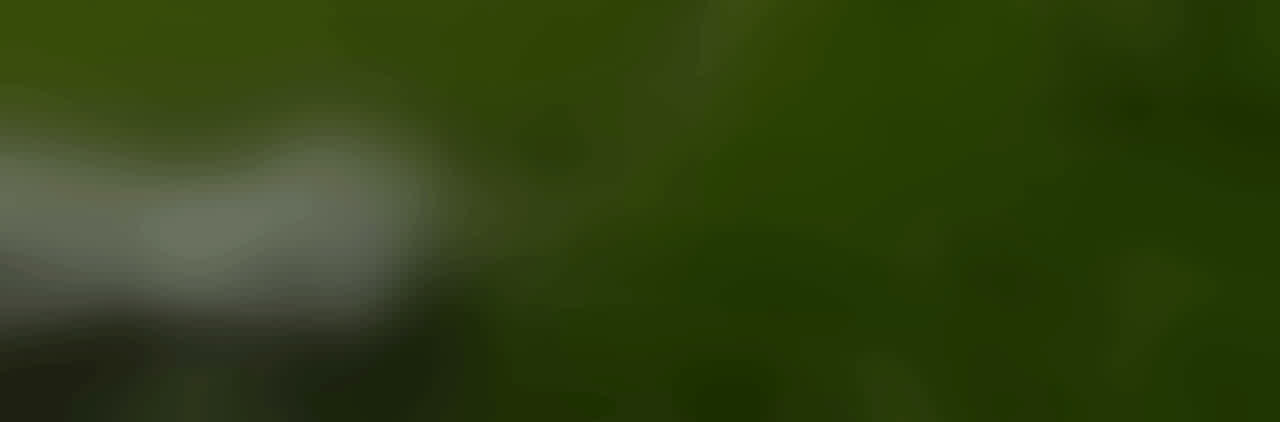 Japan travel advisor